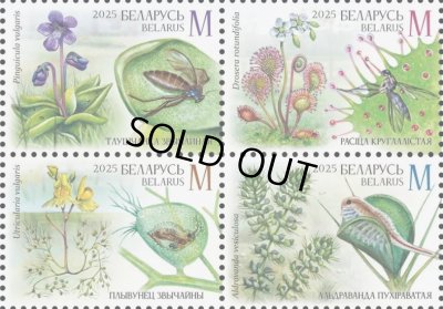 画像1: ベラルーシ切手　2025年　植物　昆虫　4種