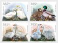 画像1: ハンガリー切手　2025年　鳥　ハンガリーの家禽品種　第4　鴨　ガチョウ　4種 (1)