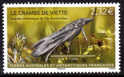 画像1: フランス領南極地域切手　2024年　昆虫　1種