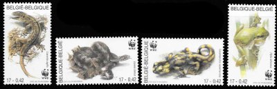 画像1: ベルギー切手　2001年　WWF　ヨーロッパアマガエル　ニワカナヘビ　4種