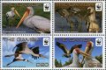 ガンビア切手　2011年　WWF 　鳥　 コウノトリ　4種