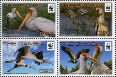 画像1: ガンビア切手　2011年　WWF 　鳥　 コウノトリ　4種
