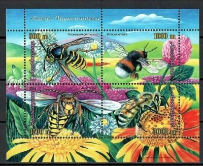 画像1: アゼルバイジャン切手　2005年　ヨーロッパクロスズメバチ　4種