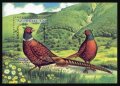 アゼルバイジャン切手　2000年　鳥　キジ　1種
