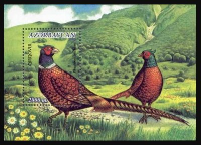 画像1: アゼルバイジャン切手　2000年　鳥　キジ　1種