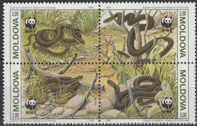 画像1: モルドバ切手　1993年　 WWF 　 絶滅危惧種 　 ヘビ　4種