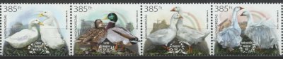 画像2: ハンガリー切手　2025年　鳥　ハンガリーの家禽品種　第4　鴨　ガチョウ　4種