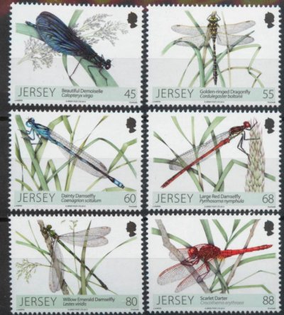 画像1: ジャージー島 切手　 2013年　昆虫　トンボ　イトトンボ　6種