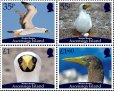 画像1: アセンション島切手　2025年　鳥　カツオドリ　4種 (1)