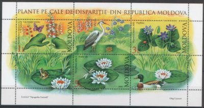 画像2: モルドバ切手　2008年　モルドバ共和国の絶滅危惧植物 　鳥　小型シート