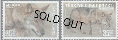 画像1: トルコ切手　2025年　オオカミ　2種