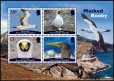 画像2: アセンション島切手　2025年　鳥　カツオドリ　4種 (2)