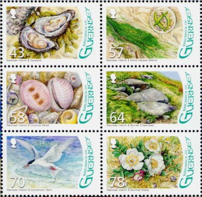 画像1: ガーンジー島切手　2016年　アジサシ 　鳥　ラムサール条約　6種