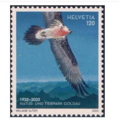 画像1: スイス切手　2025年　ゴルダウ自然保護区と野生動物公園　100周年　鳥　1種
