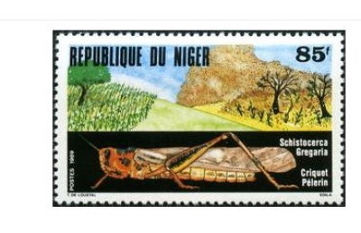 画像1: ニジェール切手　1989年　昆虫　バッタ　1種