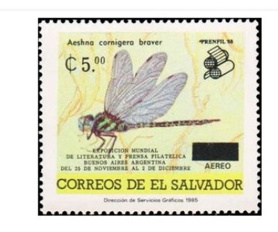 画像1: エルサルバドル切手　1988年　切手展　昆虫　トンボ　1種