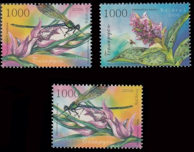 画像1: ベラルーシ切手　2006年　花　昆虫　トンボ　3種