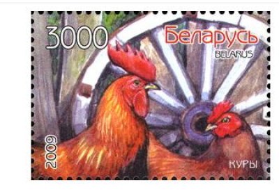 画像1: ベラルーシ切手　2009年　鳥　家畜　鶏　1種