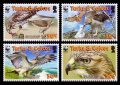 タークス・カイコス諸島切手　2007年　WWF　アカオノスリ　鳥　4種
