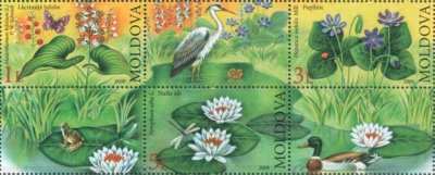 画像1: モルドバ切手　2008年　モルドバ共和国の絶滅危惧植物 　鳥　小型シート