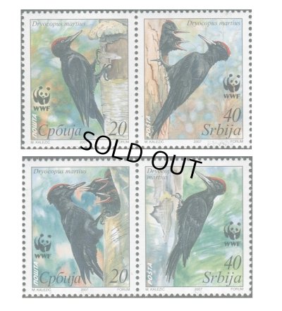 画像1: セルビア切手　2007年　WWF　クマゲラ　鳥　4種