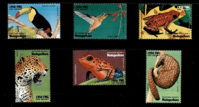 画像1: マダガスカル切手　1999年　鳥　サンショクキムネオオハシ　イチゴヤドクガエル　6種