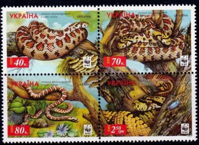 画像1: ウクライナ切手　2002年　WWF　ヘビ ヒョウモンナメラ  4種