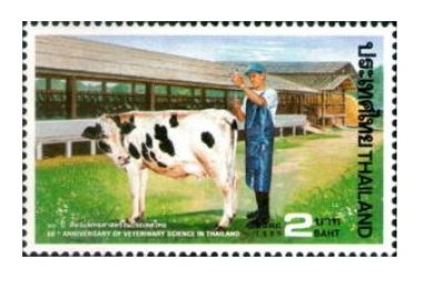 画像1: タイ切手　1995年　タイ獣医学60周年　乳牛　1種