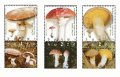 イスラエル切手　2002年　キノコ　3種
