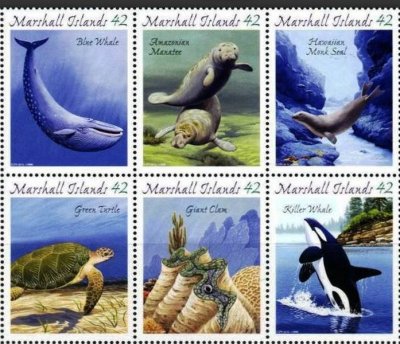 画像1: マーシャル諸島切手　2008年　絶滅危惧種　海洋生物　ハワイモンクアザラシ　6種