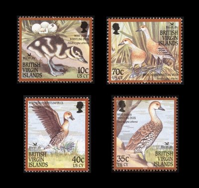 画像1: 英領ヴァージン諸島切手　2002年　バードライフ　鳥　ハシグロリュウキュウガモ   4種