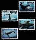 トンガ切手 　1996年　WWF　ザトウクジラ　4種