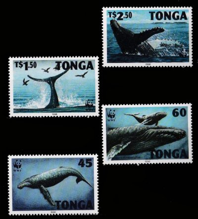 画像1: トンガ切手 　1996年　WWF　ザトウクジラ　4種
