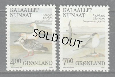 画像1: グリーンランド切手　1990年　鳥　ハクガン　2種 