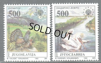 画像1: ユーゴスラビア切手 1992年 自然保護　ヨーロッパオオライチョウ モモイロペリカン　鳥 2種