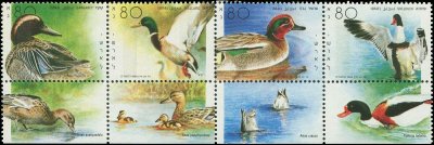 画像1: イスラエル切手　1989年　鳥　カモ　シマアジ　4種
