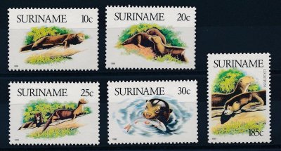 画像1: スリナム切手　1989年　オオカワウソ　5種 