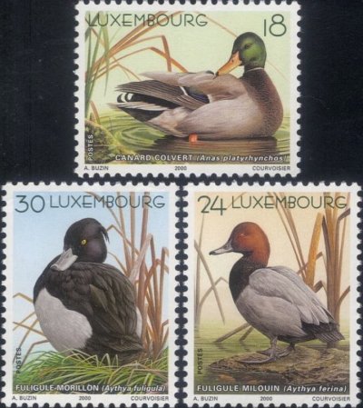 画像1: ルクセンブルク切手　2000年　鳥　カモ　3種