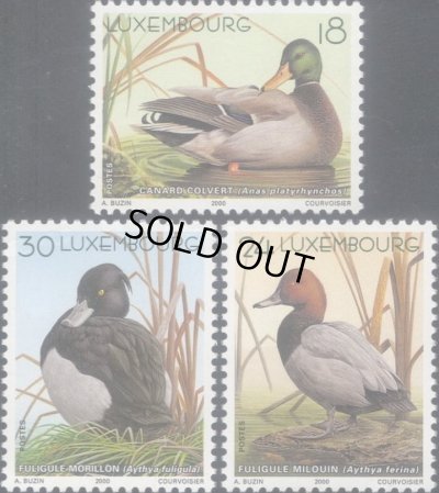 画像1: ルクセンブルク切手　2000年　鳥　カモ　3種