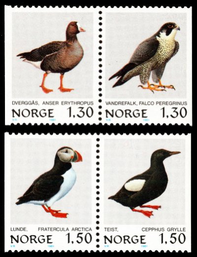 画像1: ノルウェー切手　1981年　鳥　ハヤブサ　4種