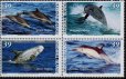 画像2: マーシャル諸島切手　2007年　マダライルカ　4種 (2)