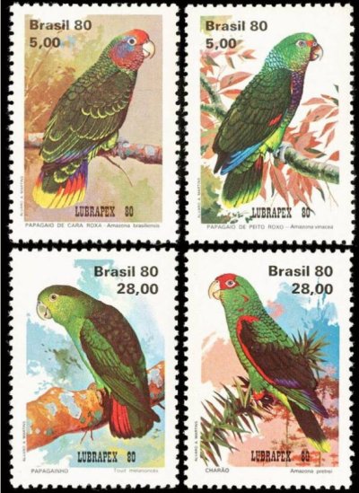 画像1: ブラジル切手　1980年　鳥　アカオボウシインコ　4種