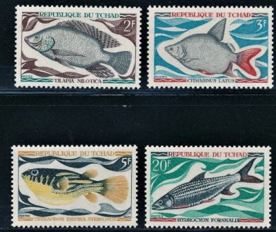 画像1: チャド切手　1969年　在来淡水魚　4種