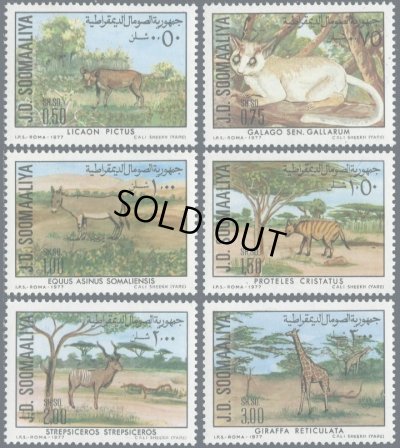 画像1: ソマリア切手　1977年　保護動物　ソマリアガラゴ　6種