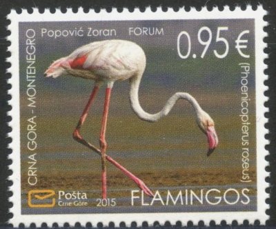 画像1: モンテネグロ切手　2015年　鳥　オオフラミンゴ　1種