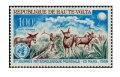 オートボルタ切手　1969年　第9回世界気象デー　動物　1種