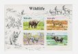 画像2: マラウイ切手　1991年　野生動物　クロサイ　4種 (2)