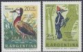 アルゼンチン切手 　1969年　鳥　シロガオリュウキュウガモ　シマクマゲラ　2種