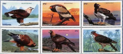 画像1: タンザニア切手　1998年　世界のワシ　猛禽類　鳥　6種