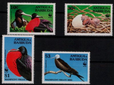 画像1: アンティグア・バーブーダ切手 　1994年　WWF 　鳥　4種